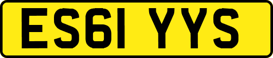 ES61YYS