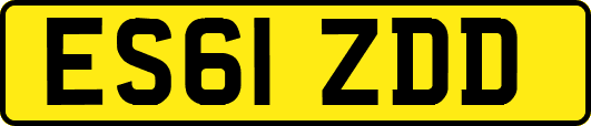 ES61ZDD