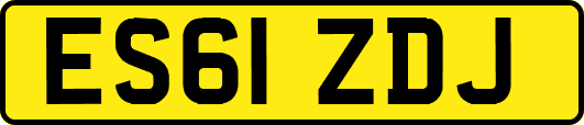 ES61ZDJ