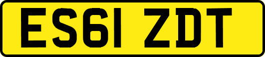 ES61ZDT
