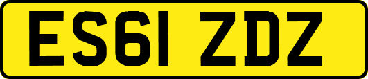 ES61ZDZ