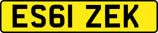 ES61ZEK