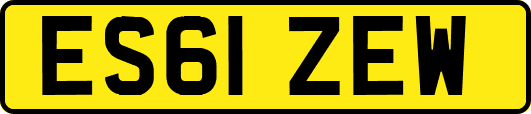 ES61ZEW