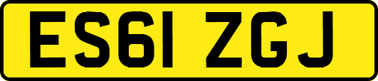 ES61ZGJ