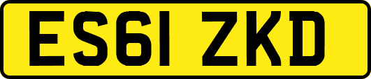 ES61ZKD