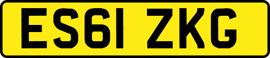ES61ZKG