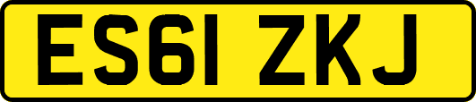 ES61ZKJ