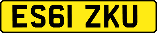ES61ZKU