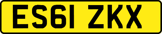 ES61ZKX
