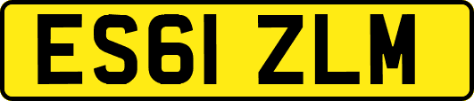 ES61ZLM