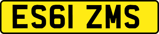 ES61ZMS