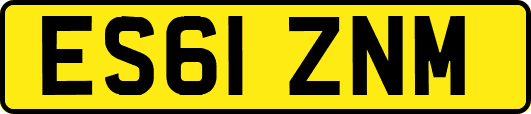ES61ZNM