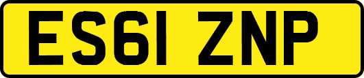 ES61ZNP