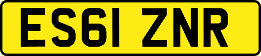 ES61ZNR