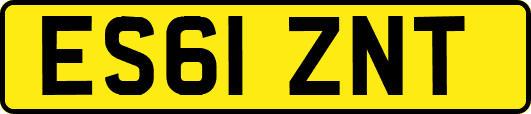 ES61ZNT
