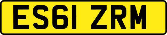 ES61ZRM
