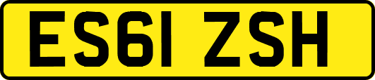 ES61ZSH