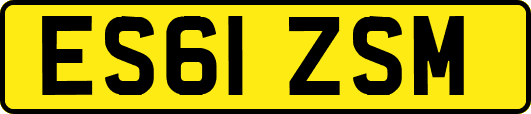 ES61ZSM