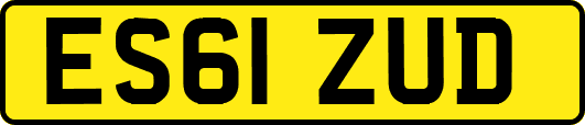 ES61ZUD