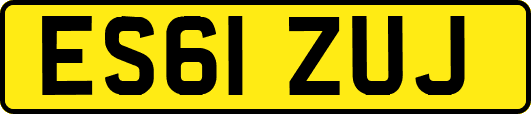 ES61ZUJ