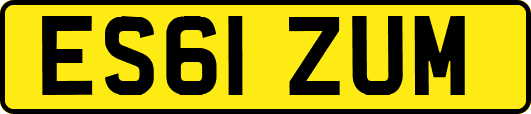 ES61ZUM