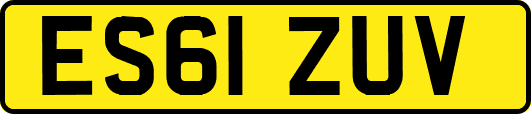 ES61ZUV