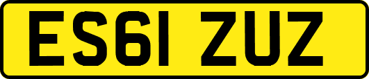 ES61ZUZ