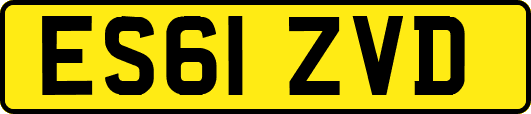 ES61ZVD