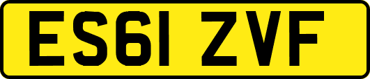 ES61ZVF