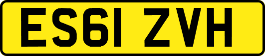 ES61ZVH