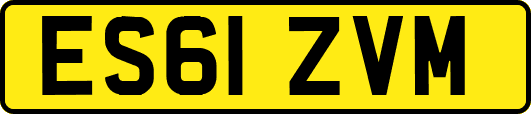 ES61ZVM