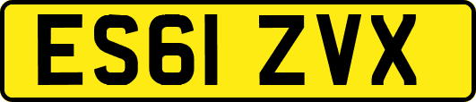 ES61ZVX