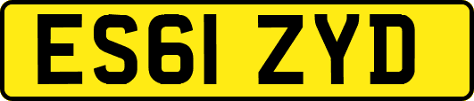 ES61ZYD