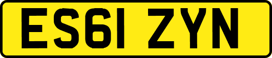 ES61ZYN