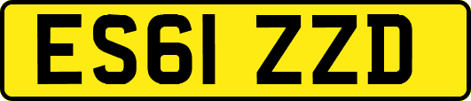 ES61ZZD