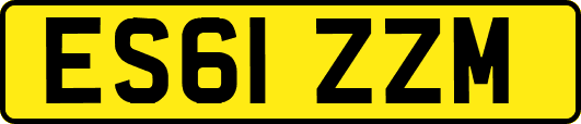 ES61ZZM