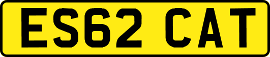 ES62CAT