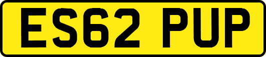 ES62PUP