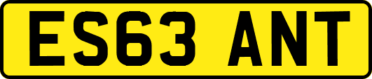 ES63ANT