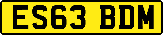 ES63BDM