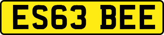 ES63BEE