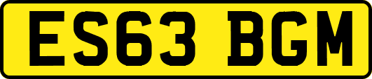 ES63BGM