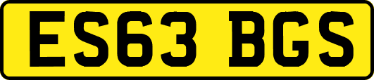ES63BGS