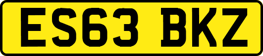 ES63BKZ