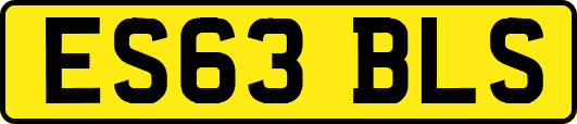 ES63BLS