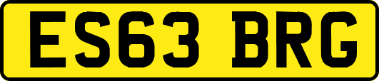 ES63BRG