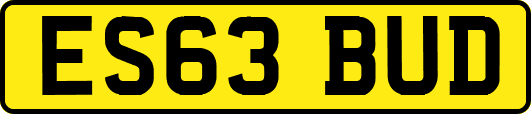ES63BUD