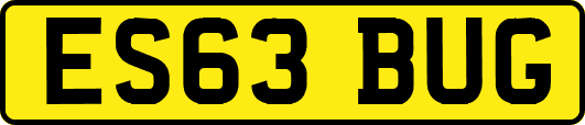 ES63BUG