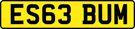 ES63BUM