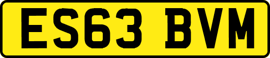 ES63BVM